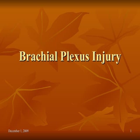 Brachial Plexus Injury