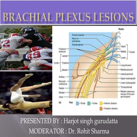Brachial plexus anatomy, diagnosis and orthopaedic treatment