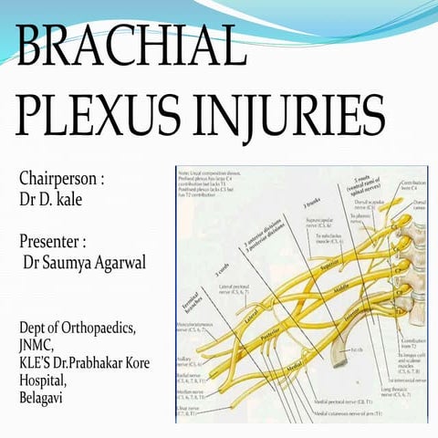 Brachial plexus seminar dr saumya agarwal