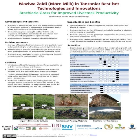 Maziwa Zaidi (More Milk) in Tanzania―Best-bet technologies and innovations: B...
