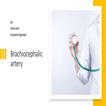 Brachiocephalic artery.pptx