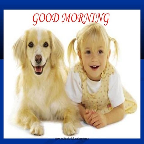 Bracket systems in orthodontics / online fixed orthodontics courses 