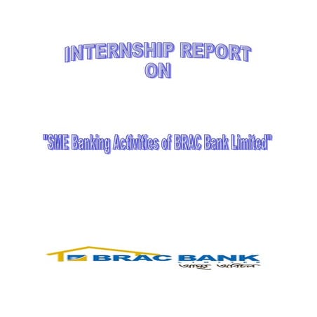 Brac sme banking activitis  cover page