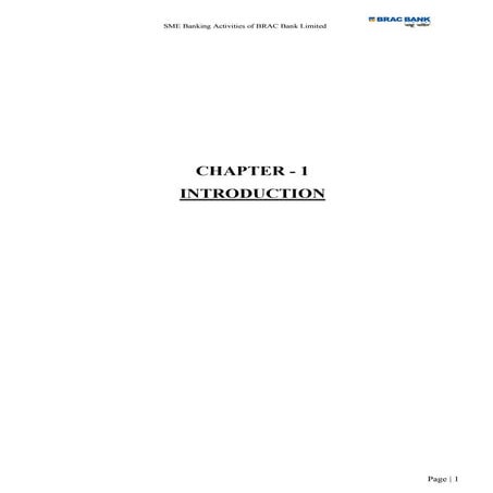 Brac sme banking activitis  main body