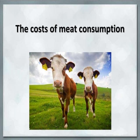 Bradford mvsu costs of meat