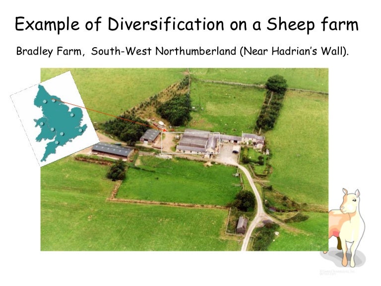 Bradley Farm Case Study