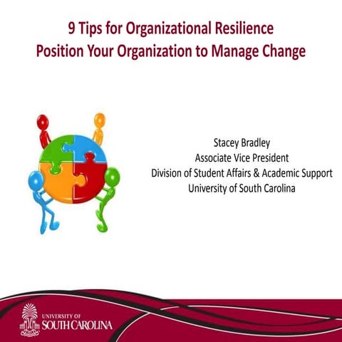 Tips for Developing a Resilient Organization - Stacey Bradley, IdeaPOP! 2015