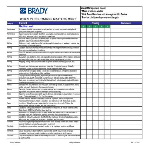 Brady visual checklist june 28