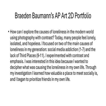 2024 2D AP Art Portfolio Braeden-Score: 5