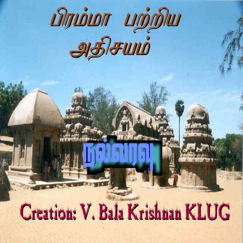 Brahma 5 heads story