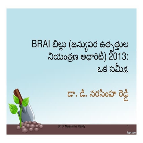 Brai bill 2013 tel