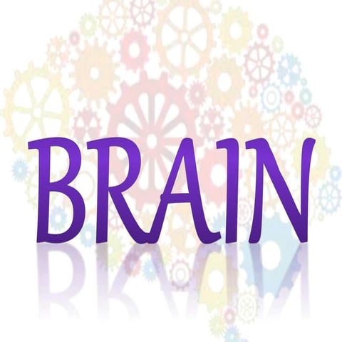 Brain