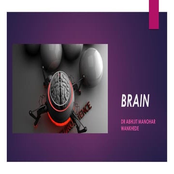 Brain- THE ORIGIN..ANATOMY 