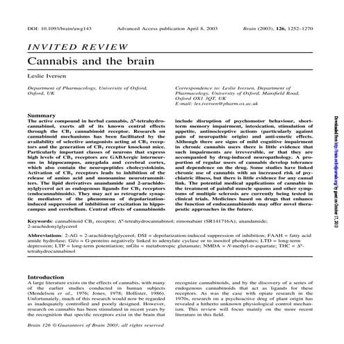 Brain 2003-iversen-1252-70