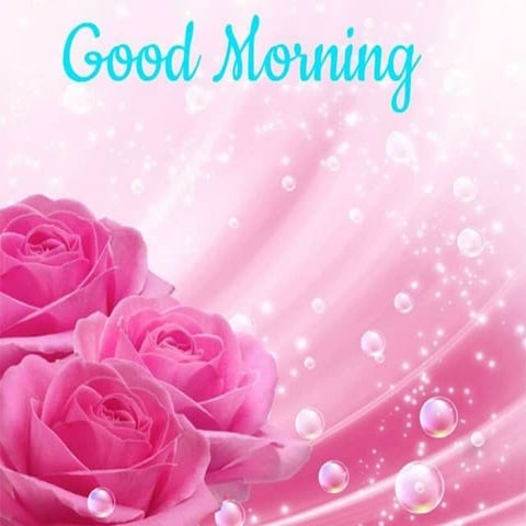 Gross and salient features of Brain