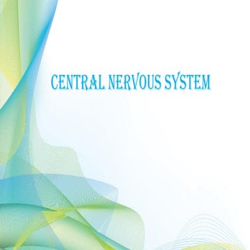 BRAIN structure and its function (class 10) | PPTX