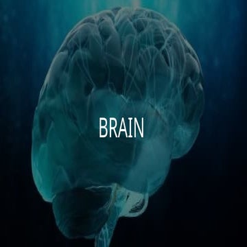 Brain and it's function and parts of its | PPTX