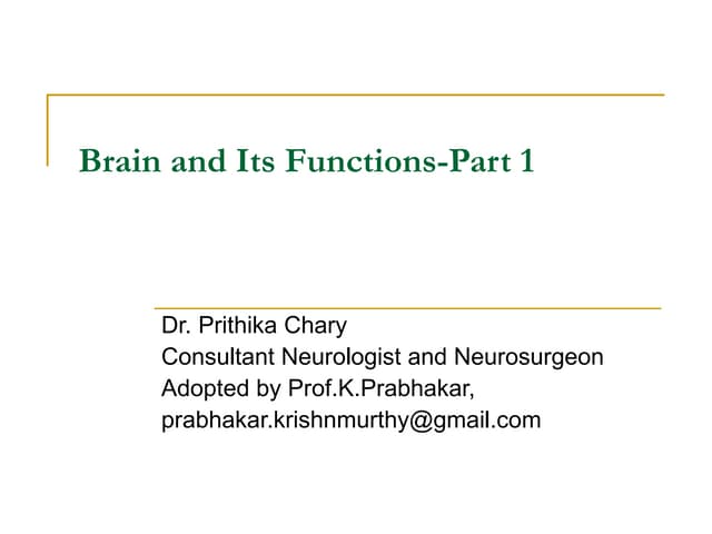 Brain and Its Functions- Part 1