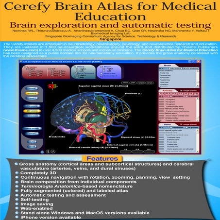 Brain Atlas for Medical Education