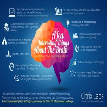 Infographic: A Few Interesting Things About The Brain