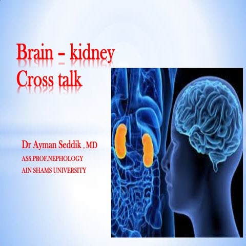 Brain kidney cross talk final 2016 | PDF