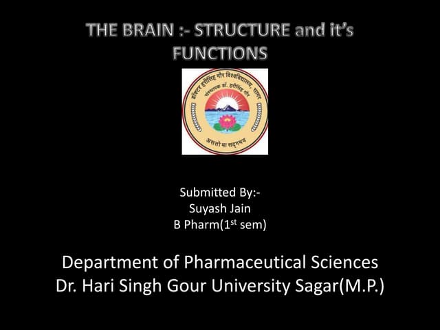 Brain Structure And Function Pptx Brain Structure And Function Pptx