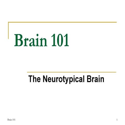THE HUMAN BRAIN 101 visual data 8