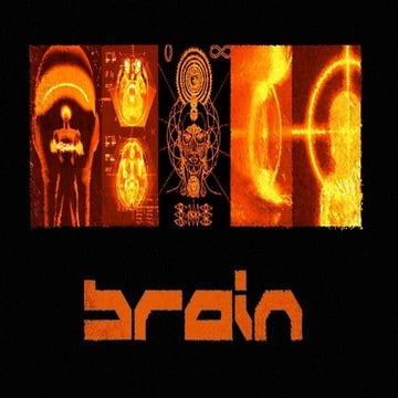 There is no such thing as mild, moderate and severe TBI - by Andrew Udy