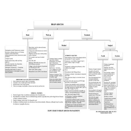 BRAIN ABSCESS: ALGORITHM SIMPLIFIED