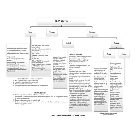 Brain Abscess - Algorithmic approach