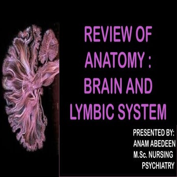 ANATOMY OF BRAIN AND  LYMBIC SYSTEM.pptx
