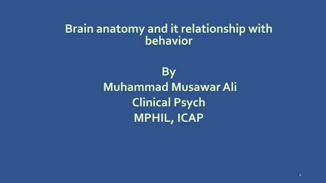 Brain anatomy and it relationship with behavior