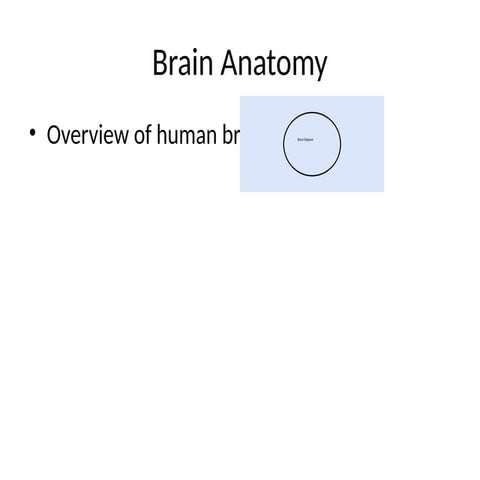 Comprehensive Overview of Human Brain Anatomy and Functions | PPTX