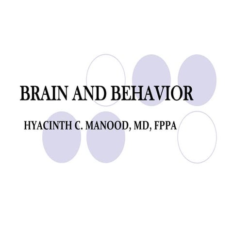 Brain And Behavior