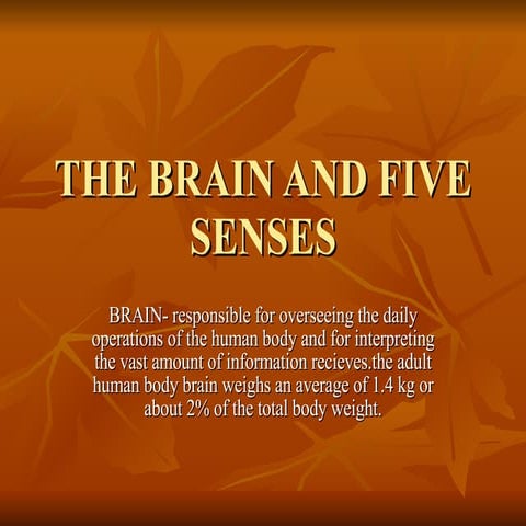 Brain And Five Senses