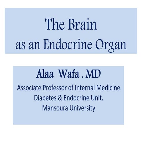 Brain as an endocrine organ