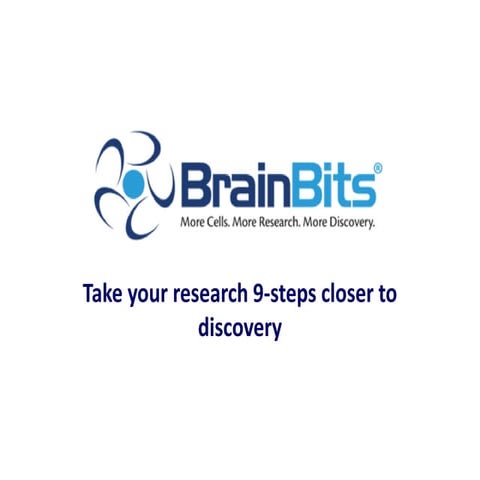 Brain bits® Overview