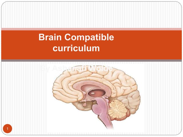 Brain compatible curriculum