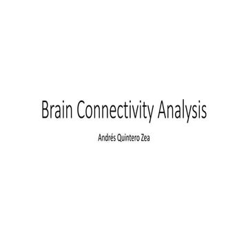 Brain connectivity analysis