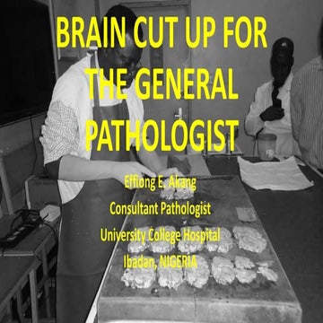 Brain cut up for the general pathologist