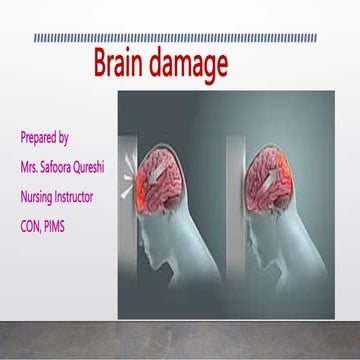 Brain Damage [The Complete Picture] | PPT