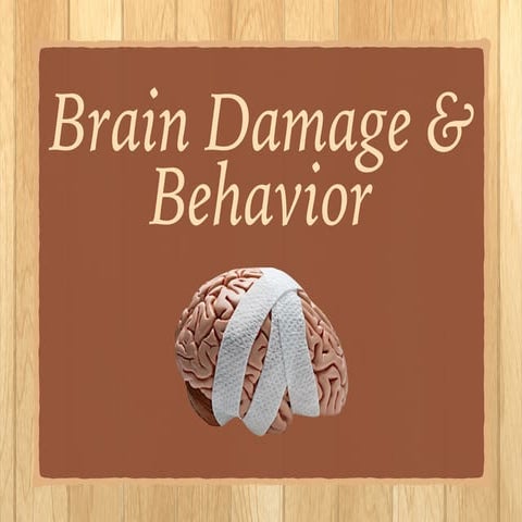 Brain Damage & Behavior