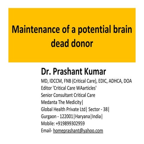 Maintenance of a potential brain dead donor