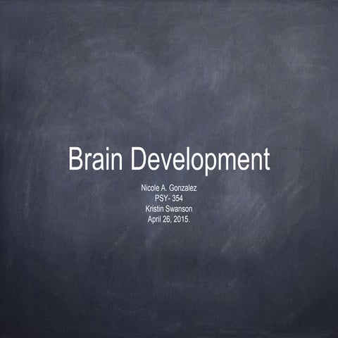 Brain Development  