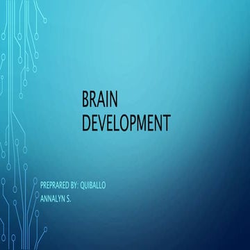 Brain development quiballo annalyn-ppt (1)