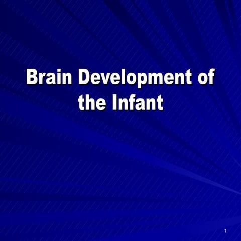 Brain development of_the_infant-1