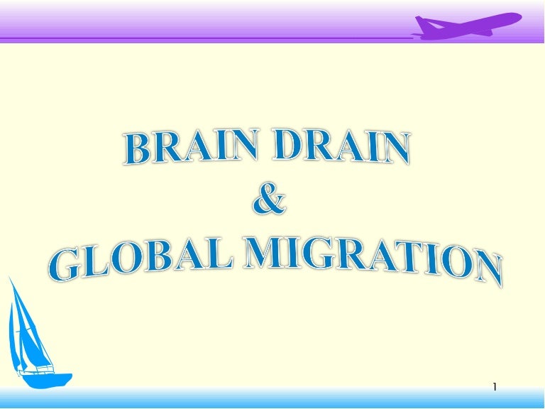 brain drain essay essay brain
