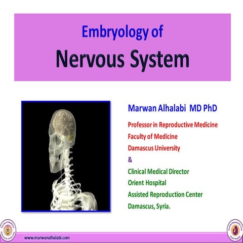 Embryology of  Nervous System