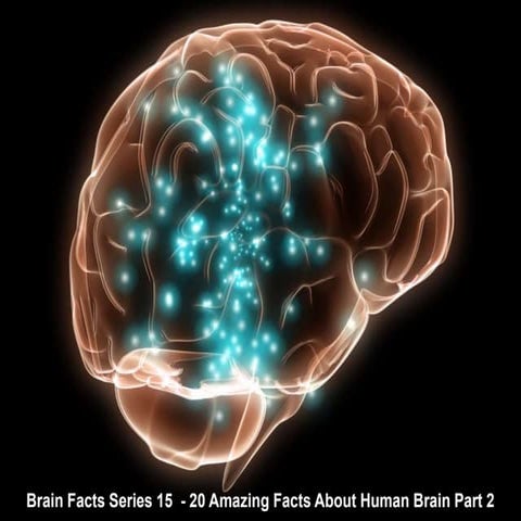 AMAZING FACTS ABOUT HUMAN BRAIN visual data 5