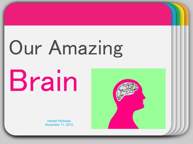 Our Amazing Brain
